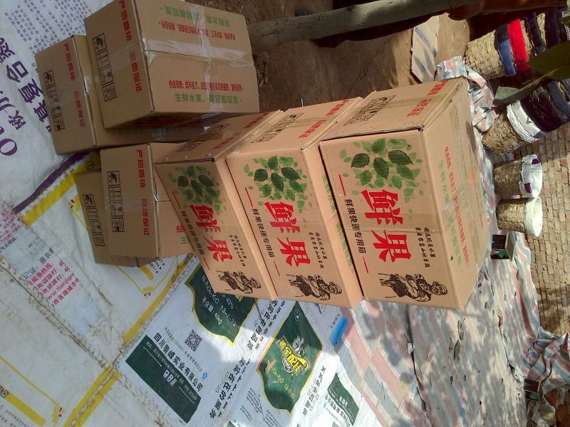 酥梨150~200g光果