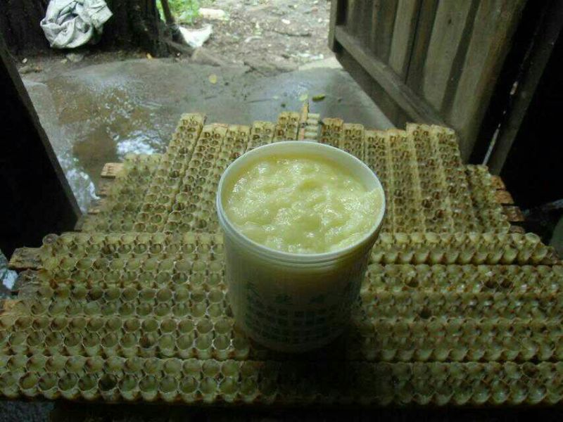 原生态大山深处自家蜂场速冻鲜蜂王浆