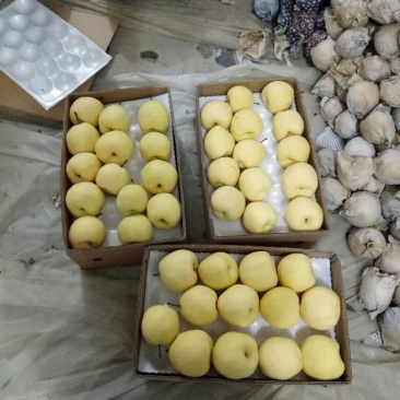 贡梨250~300g纸袋