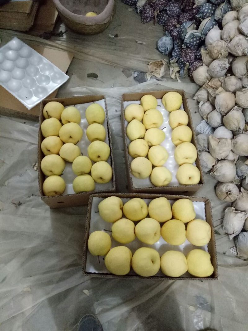 贡梨250~300g纸袋