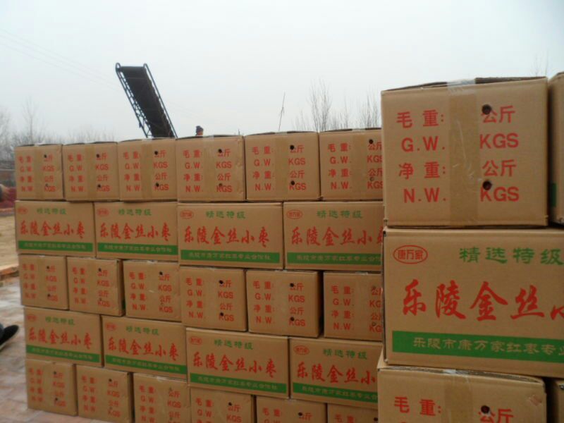 金丝小枣规格多价格低量大优惠产地直供价格低