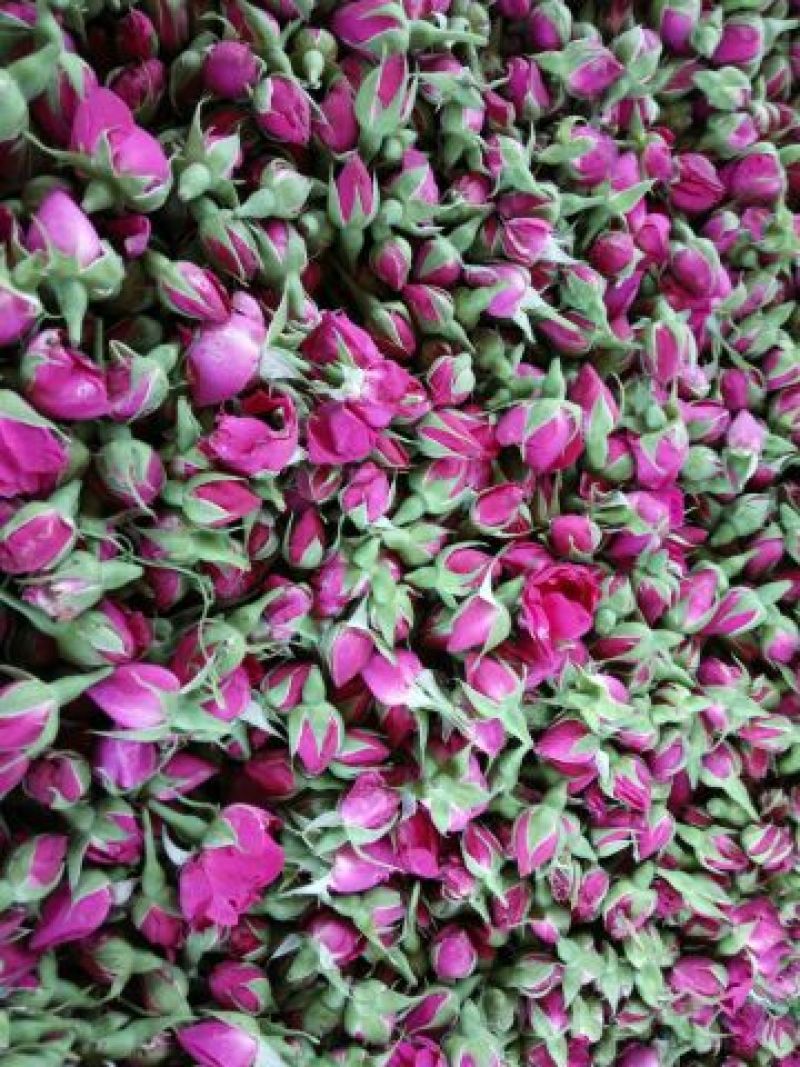 玫瑰花茶