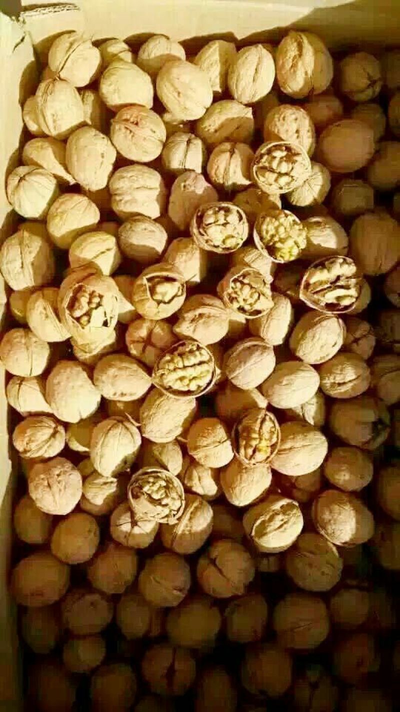 纸皮核桃