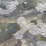 池鲤鱼食用1~2公斤