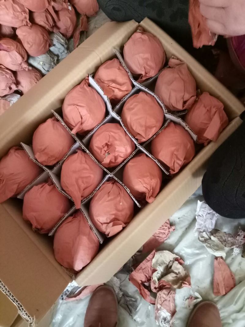 贡梨250~300g纸袋