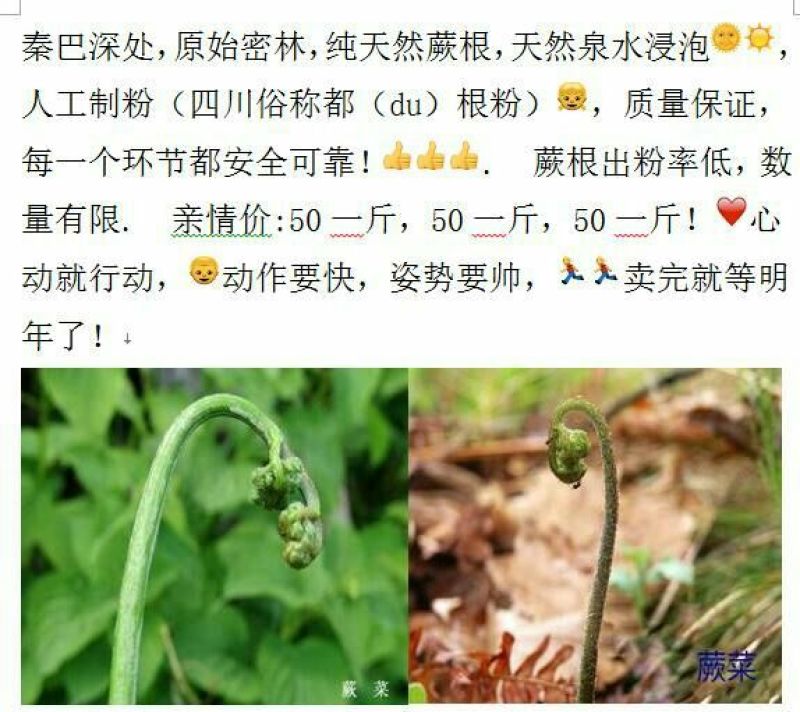 蕨根淀粉散装