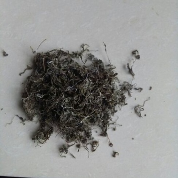 藤茶特级