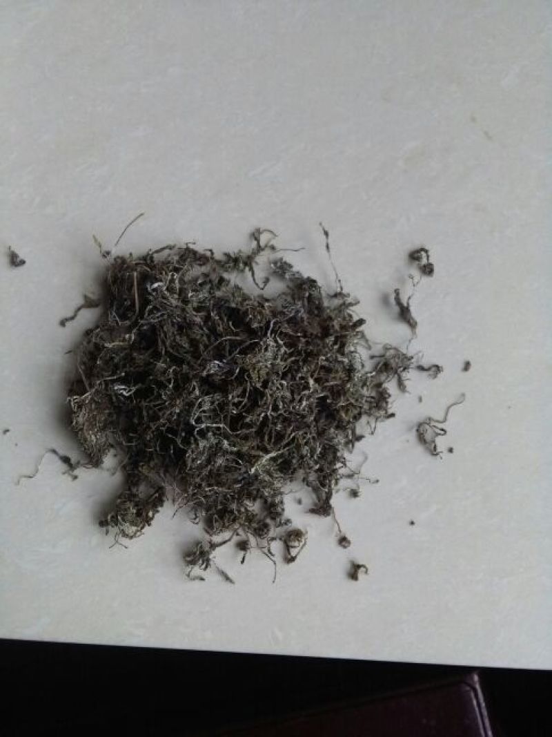 藤茶特级