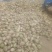 芥菜头5两以上，腌菜，市场可以商超对接，电商