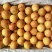 南果梨150~200g纸箱
