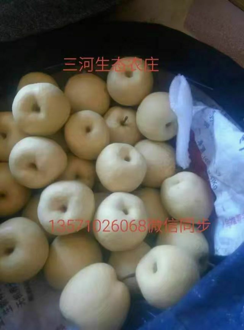 礼泉酥梨250~300g纸袋