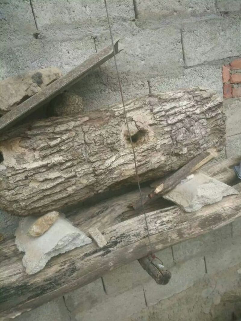 土蜂蜜