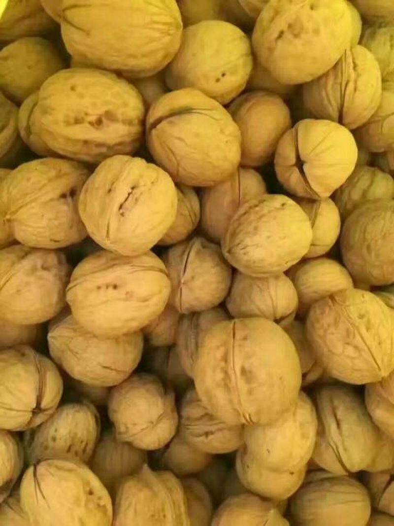 薄皮核桃25mm以下去皮干