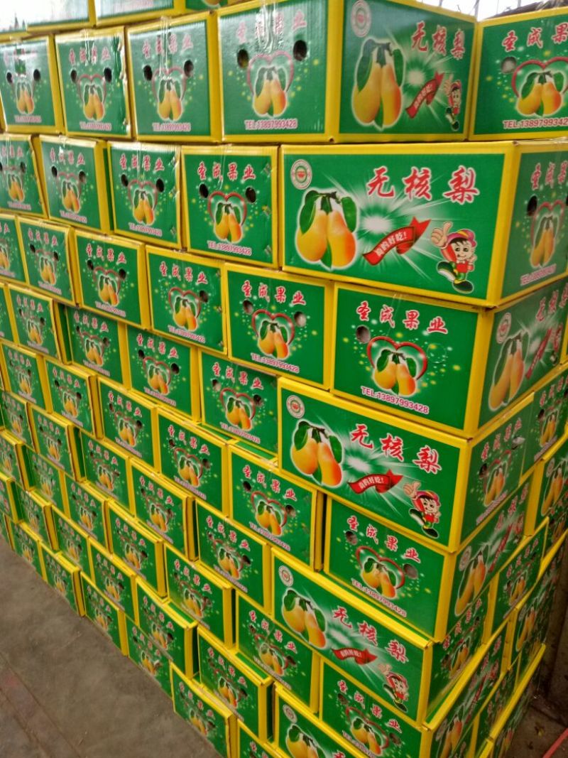 大头梨150~200g纸箱