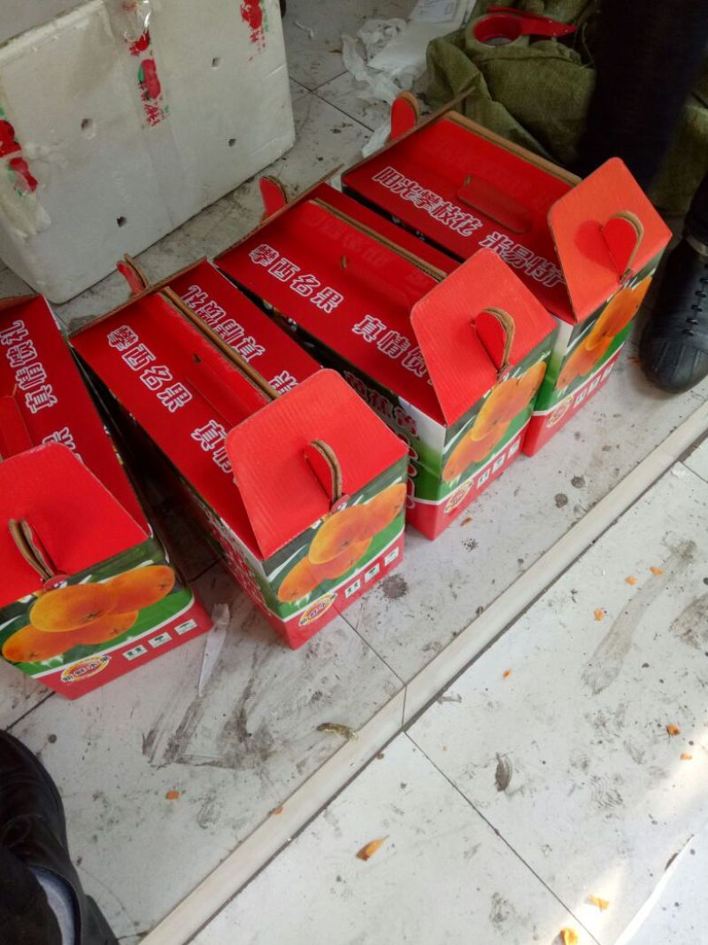 早中枇杷承接线上线下市场批发商超配送一件代发等等