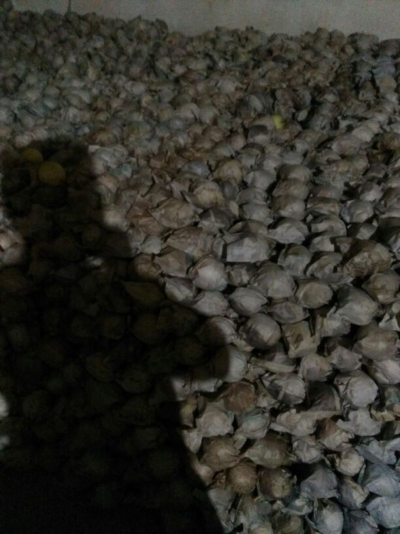 酥梨250~300g纸袋