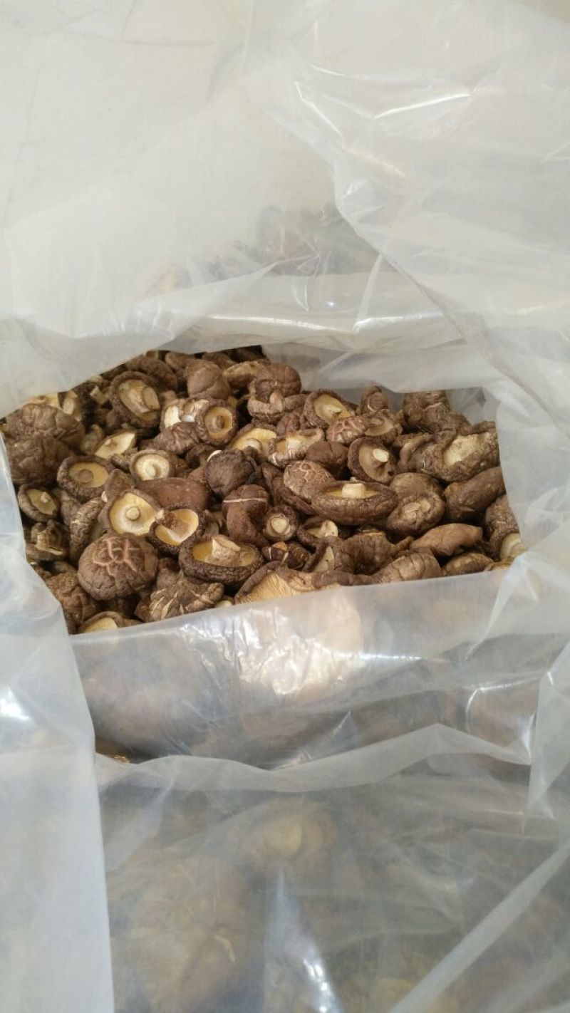 干香菇3cm以上