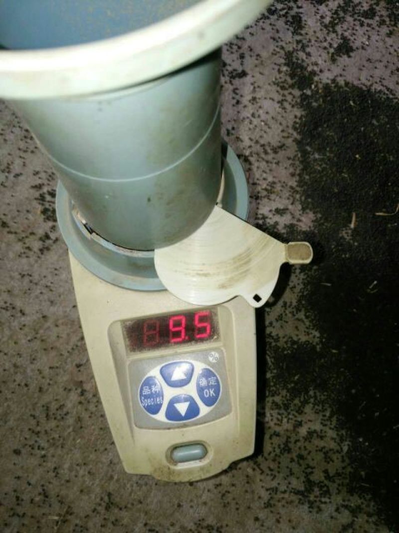 湖北精选定包优质油菜籽1优质食用油原料