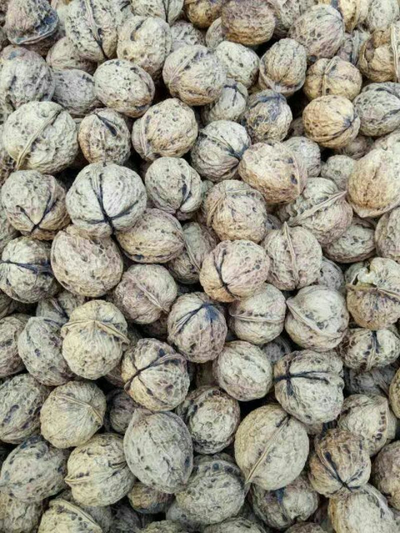 薄皮核桃30mm以上去皮干