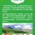 冰糖心苹果75mm以上纸袋