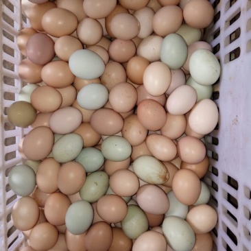 土鸡蛋食用50g以下
