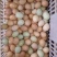 土鸡蛋食用50g以下