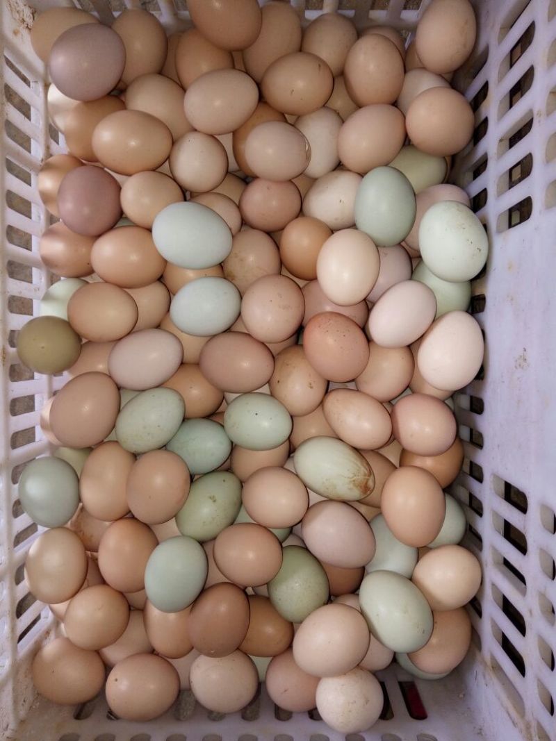 土鸡蛋食用50g以下