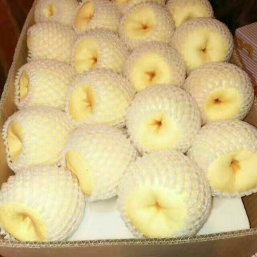 酥梨600g以上纸袋