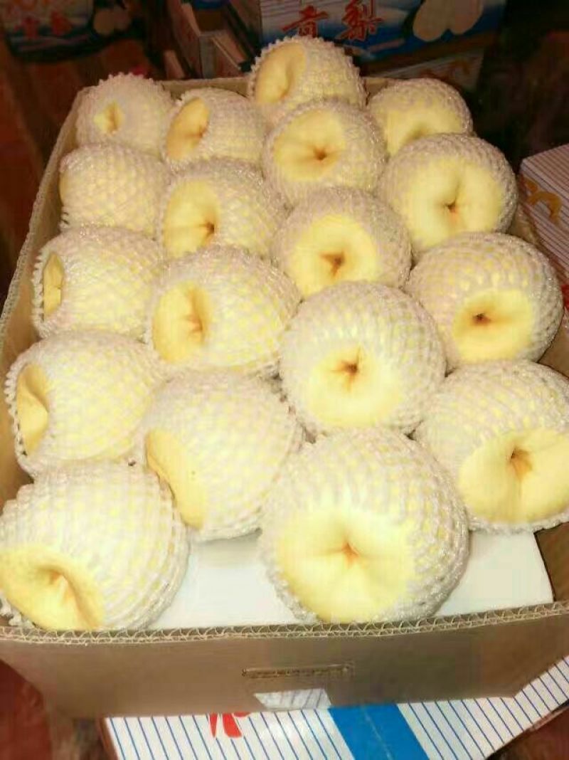 酥梨600g以上纸袋