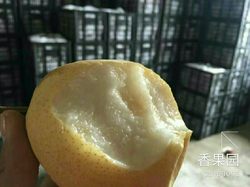 贡梨纸袋200~250g