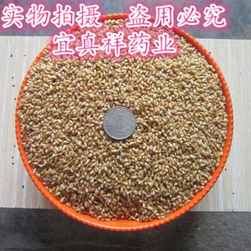 柏子仁