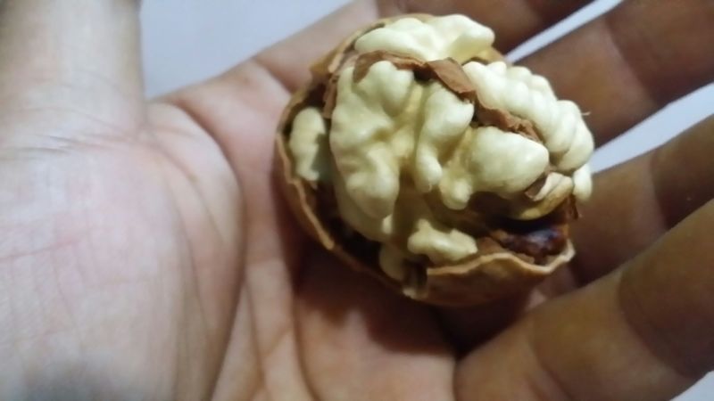 核桃去皮