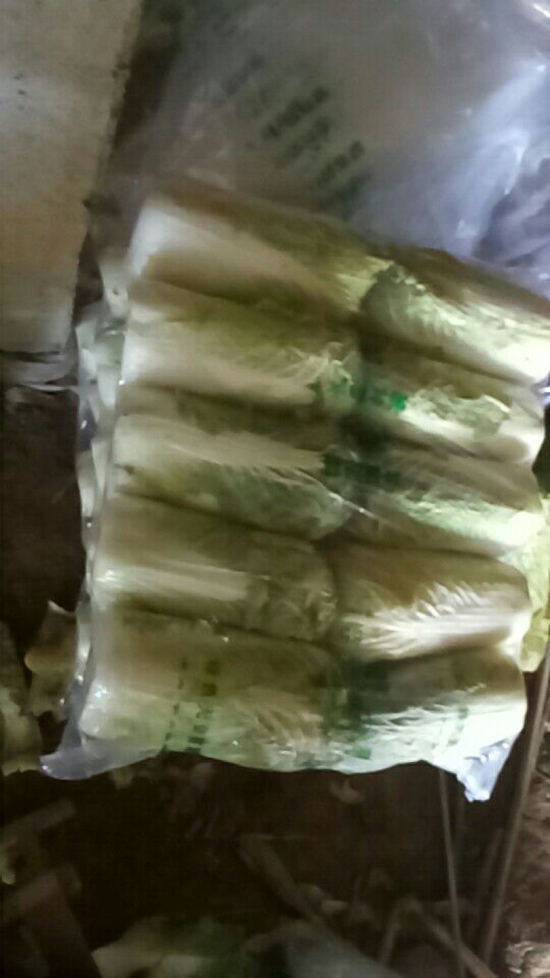 大白菜7斤以上