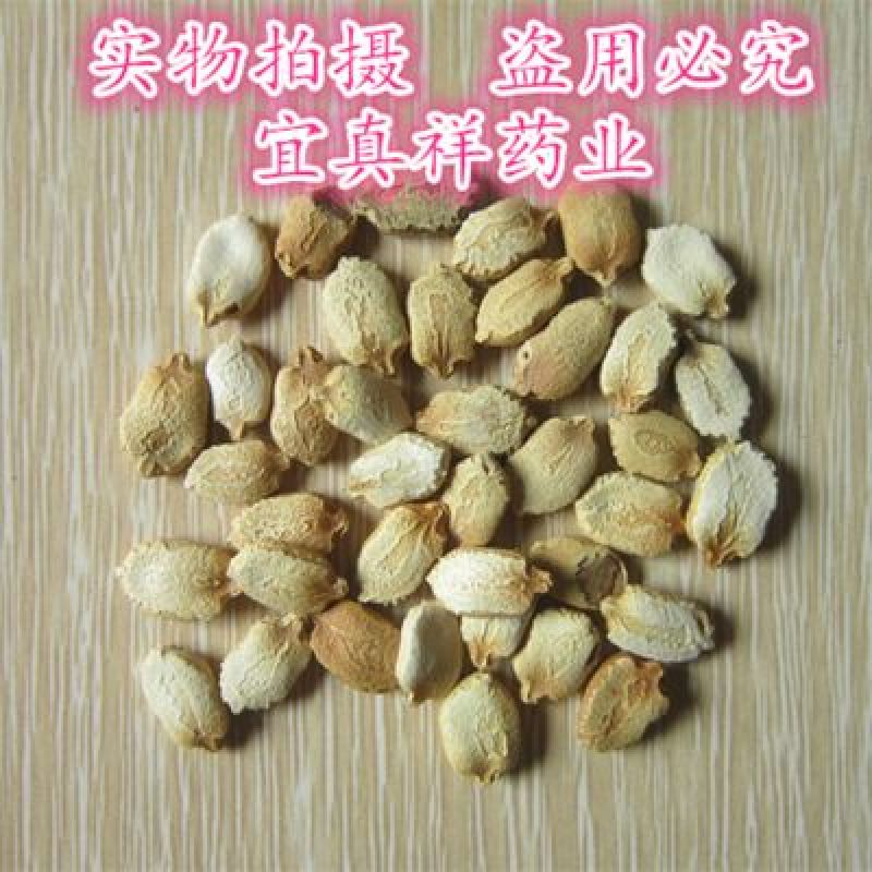 苦瓜子