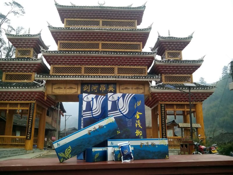 青钱柳茶一级