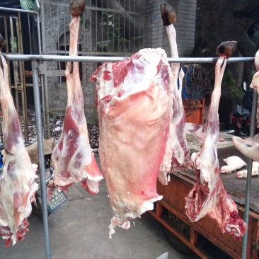 普通羊肉山羊肉否带骨