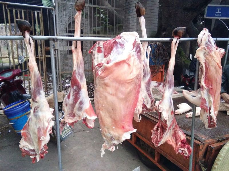 普通羊肉山羊肉否带骨