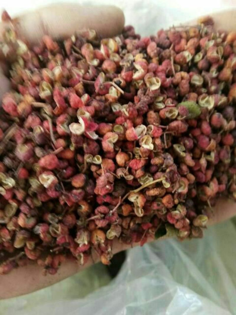 大红袍花椒一级干