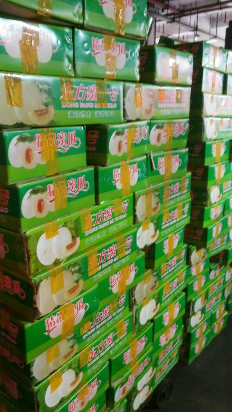 东方密1号哈密瓜2斤以上椭圆形
