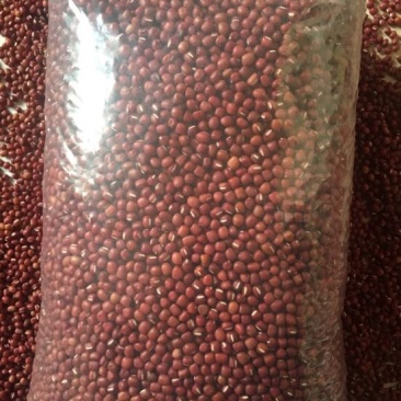 红小豆