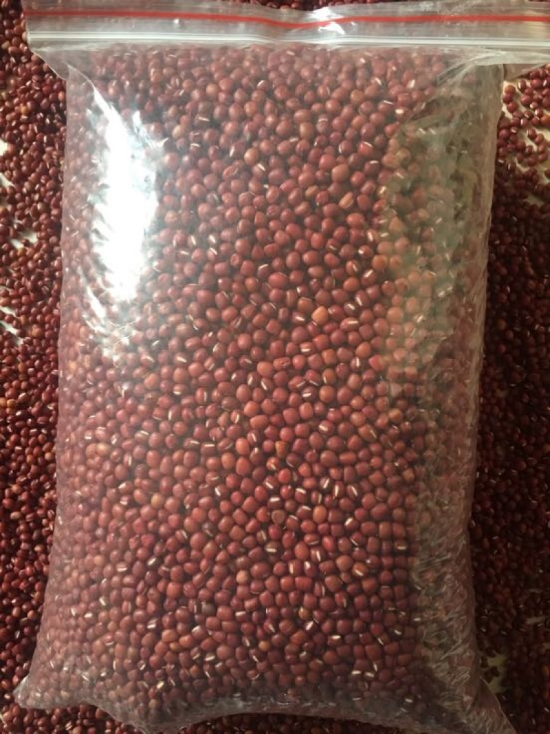 红小豆
