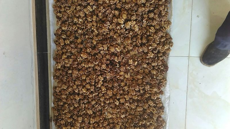 绵核桃30mm以上去皮干