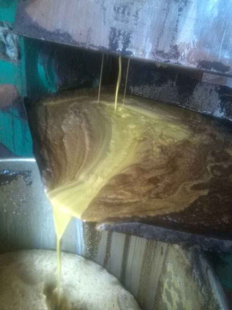 菜油四级