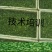 黑豆芽技术培训，本人有着十几年的过硬技术