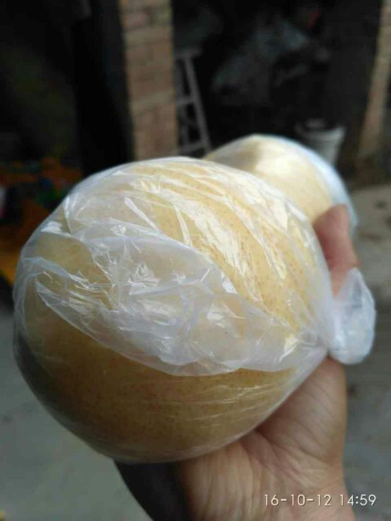 酥梨200~250g膜袋