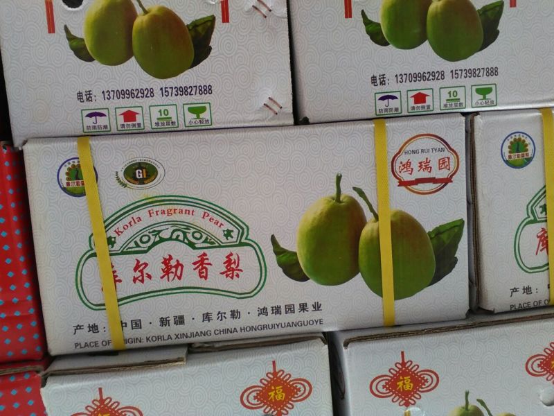 红香酥梨