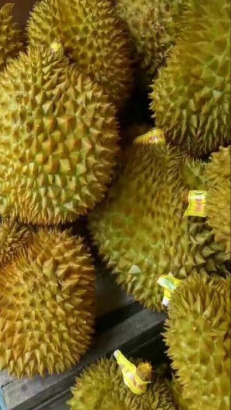 榴莲