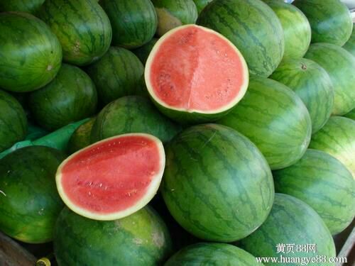 无籽西瓜山东滨州惠民县_批发_供应-一亩田农