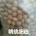 纸皮核桃去皮干