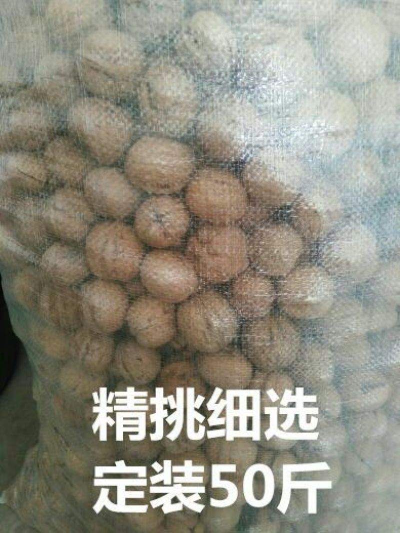 纸皮核桃去皮干